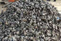 汽車外殼撕碎機 汽車外殼撕碎機