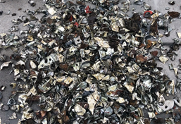 濾油器撕碎機 濾油器撕碎機