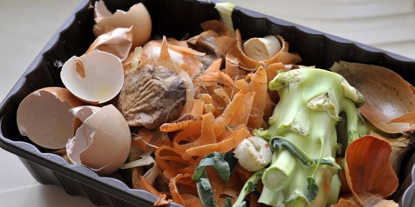 非居民廚余垃圾處理計量收費來了！廚余垃圾怎么處理？