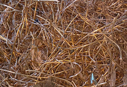 噸包袋撕碎機 噸包袋撕碎機