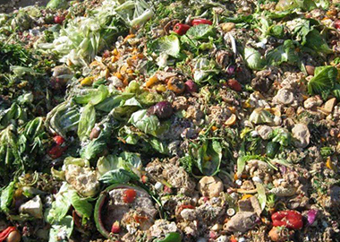 餐廚垃圾前端篩分