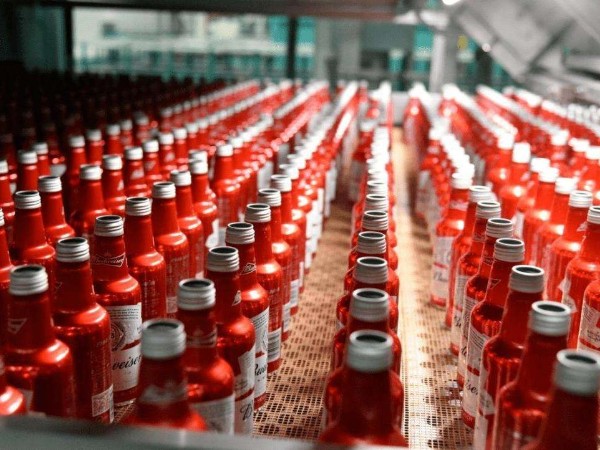 美國某大型啤酒生產廠商訂購啤酒瓶蓋撕碎機案例分享